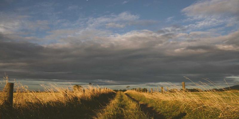 午后阳光与收纳魔法：如何用床上用品和生活百货打造治愈系空间