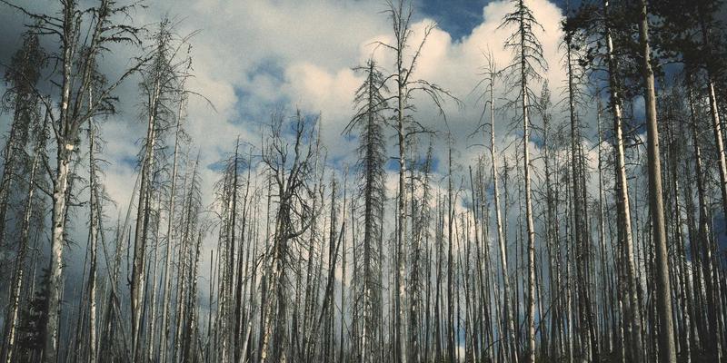 被暖暖的童年记忆唤醒：复刻外婆厨房的收纳智慧与温情美学